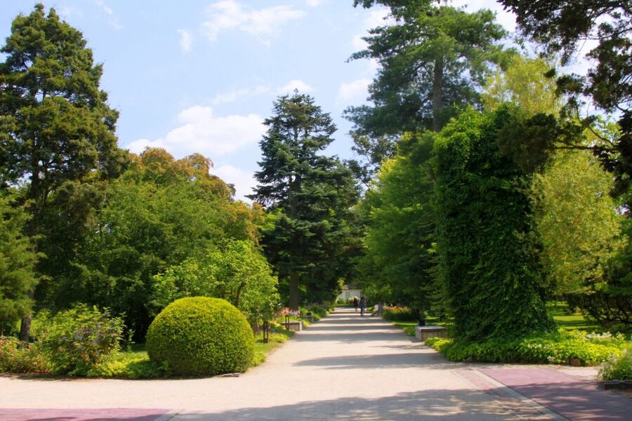 From Warsaw: Tour to Chopin's Birthplace - Żelazowa Wola - The modernist park, ponds, and concert pavilions