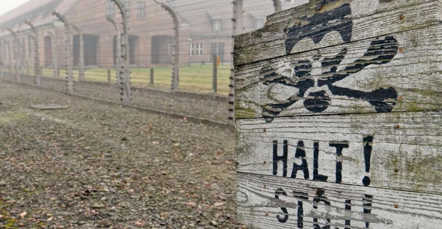 From Wrocław: Full-Day Auschwitz-Birkenau Guided Tour - Why this Auschwitz day trip matters