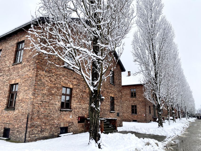 From Wrocław: Full-Day Auschwitz-Birkenau Guided Tour - Comfort stops and the small vehicle
