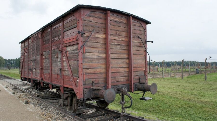 From Wrocław: Full-Day Auschwitz-Birkenau Guided Tour - Moving on to Birkenau