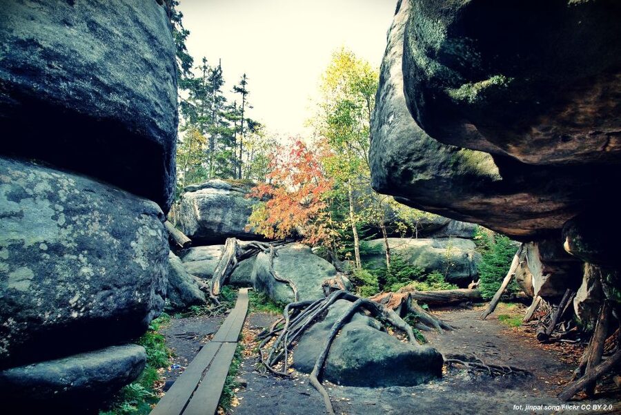 From Wroclaw: Full-Day Stolowe Mountains Trekking Tour - From Wroclaw to the Stolowe Mountains