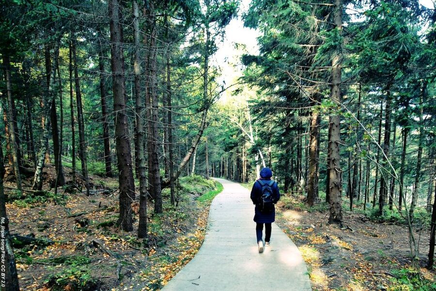 From Wroclaw: Full-Day Stolowe Mountains Trekking Tour - Who will enjoy this eight-hour outing
