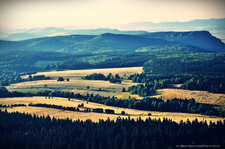 From Wroclaw: Full-Day Stolowe Mountains Trekking Tour - Is the $81 price good value?