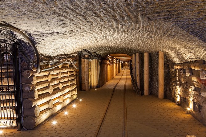 Full-Day Auschwitz-Birkenau and Salt Mine from Krakow - Who should book this combined tour