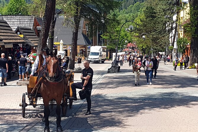 Full-Day Dunajec Rafting and Zakopane Tour from Krakow - Who will enjoy this mountain day