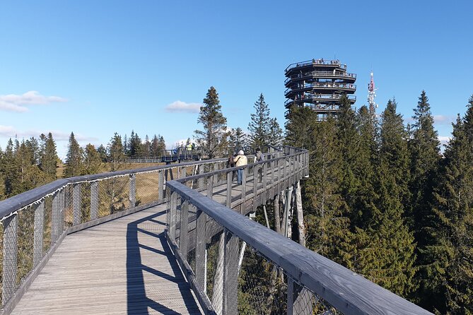 Full-Day Private Tour of Slovakia Treetop Walk and Zakopane - A private road trip from Krakow to the Tatras