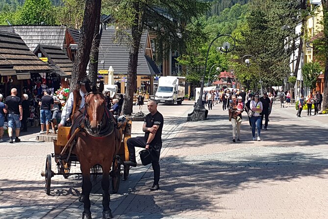 Full-Day Private Tour of Slovakia Treetop Walk and Zakopane - Who will enjoy this day most