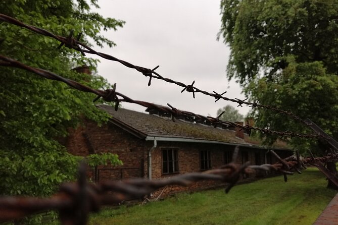 Full-Day Tour From Warsaw to Auschwitz (guided) and Krakow by car - Auschwitz first, then Krakow