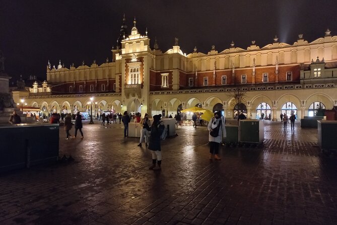 Full-Day Tour From Warsaw to Auschwitz (guided) and Krakow by car - Who should book this day trip?