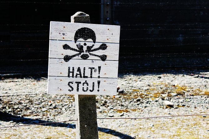 Full-Day Tour of Auschwitz-Birkenau and Salt Mine from Krakow - Facing Auschwitz-Birkenau with a guide