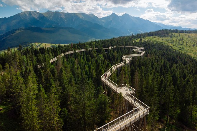 Full-Day Tour of Zakopane and Sky Walk Heart of Poronin - Walking above the forest at Poronin