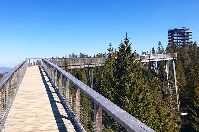 Full-Day Zakopane and Slovakia Treetop Walk From Krakow - What the driver does, and what is not included