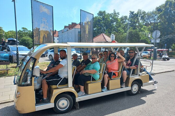 Gdansk: Private City Sightseeing Tour by Buggy/Cart LIVE GUIDED - The port, churches, and the Great Crane