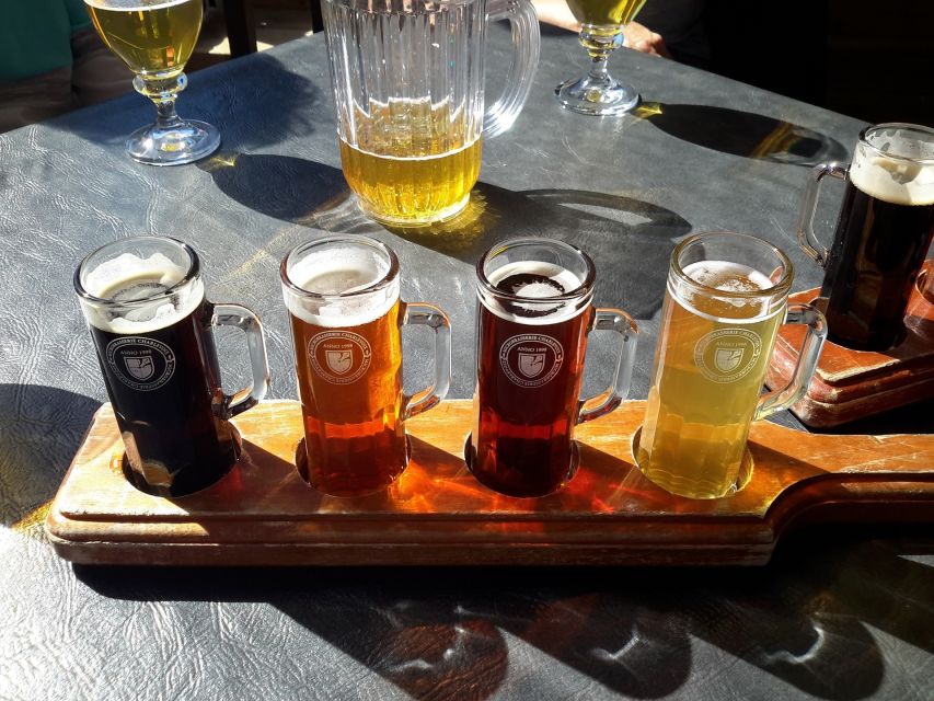 Gdansk Private Polish Beer Tasting Tour at Best Pubs & Bars - Who should choose this beer tour?