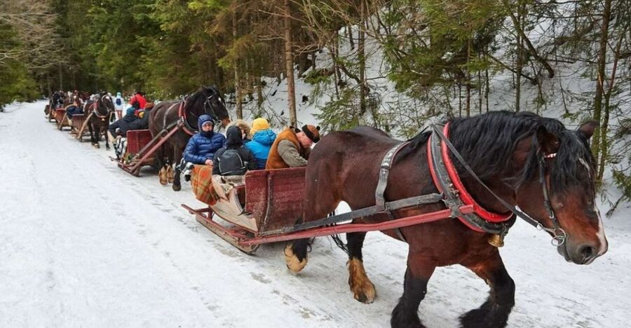 Horse Sleigh 2-3h Ride with Hot Springs or Zakopane Combos - A long Polish mountain day with two very different moods