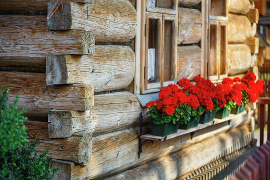 Horse Sleigh 2-3h Ride with Hot Springs or Zakopane Combos - Gubalowka by funicular
