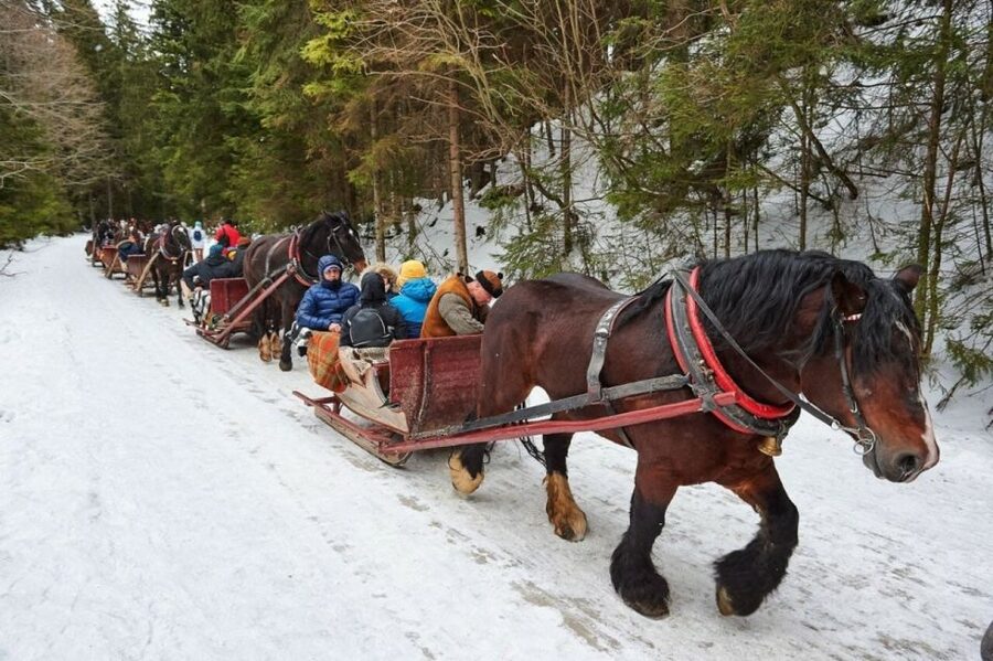 Horse Sleigh 2-3h Ride with Hot Springs or Zakopane Combos - Chocholow, wooden houses, and small local details