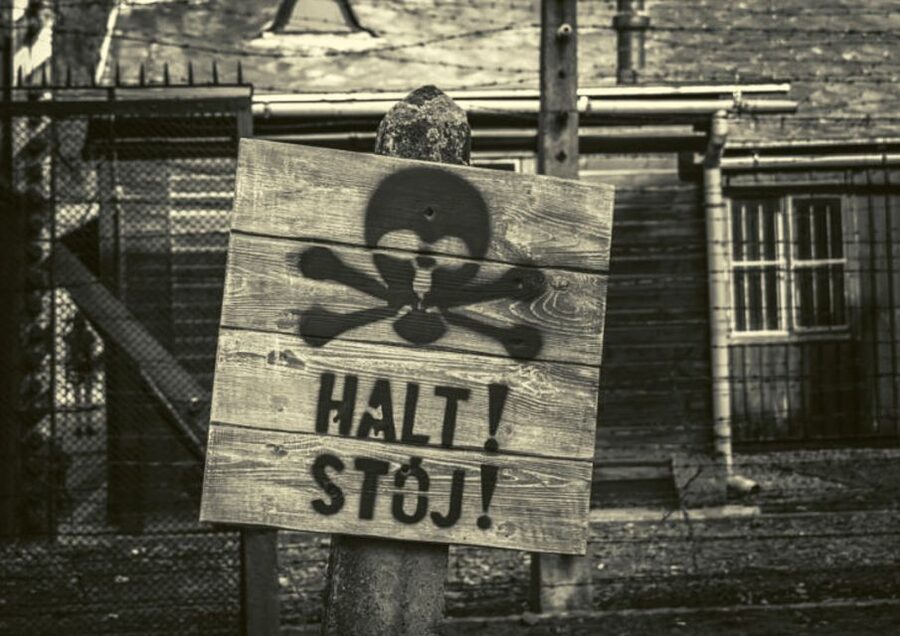 Krakow and Auschwitz Small-Group Tour from Warsaw with Lunch - Who should book this day trip?