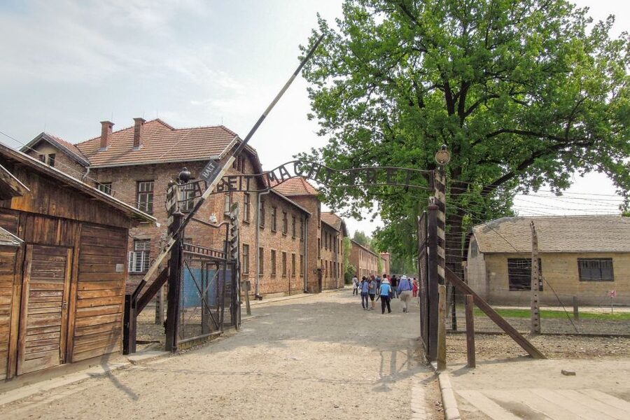 Krakow: Auschwitz and Wieliczka Salt Mine Combo Tour - Two major sites, one demanding day