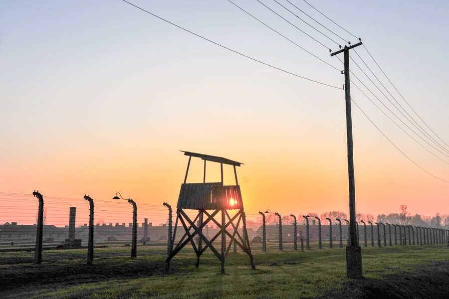 Krakow: Auschwitz-Birkenau and Salt Mine Guided Tour - Should you book the Auschwitz and Salt Mine tour?