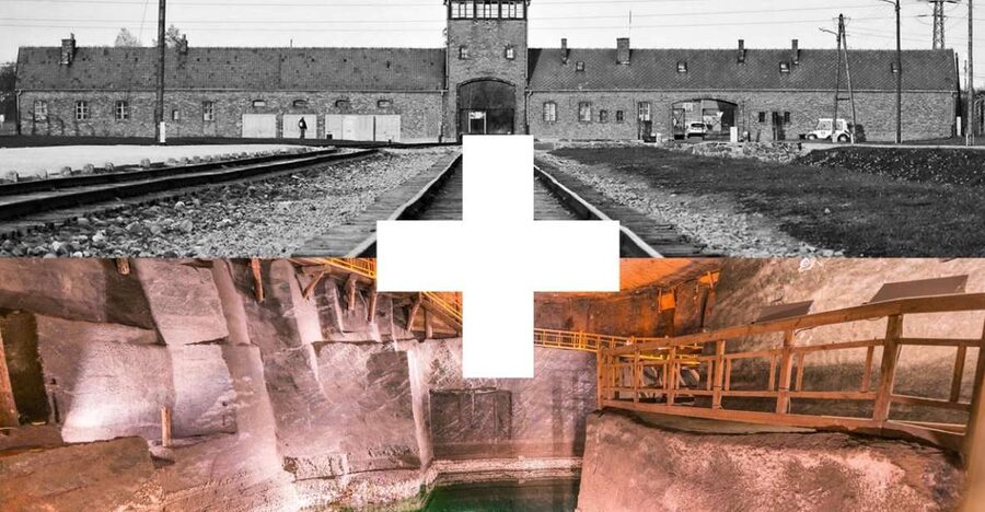 Krakow: Auschwitz-Birkenau and Salt Mine Guided Tour - The transfer and lunch break