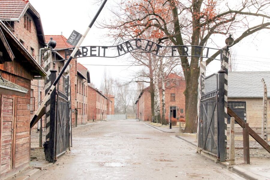 Krakow: Auschwitz-Birkenau and Salt Mine Guided Tour - Transport, groups, and the practical details