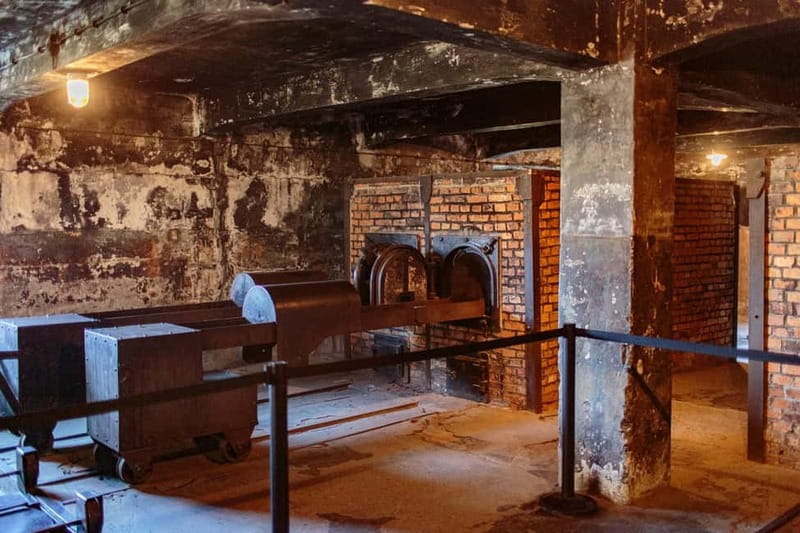 Krakow: Auschwitz-Birkenau Entry Ticket and Transfer - What this Auschwitz-Birkenau day is really like
