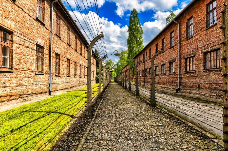 Krakow: Auschwitz-Birkenau Guided Tour and Private Transport - Who should book this experience?