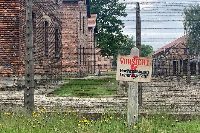 Krakow: Auschwitz-Birkenau Guided Tour & Hotel Pick Up - Who this Krakow day trip suits best