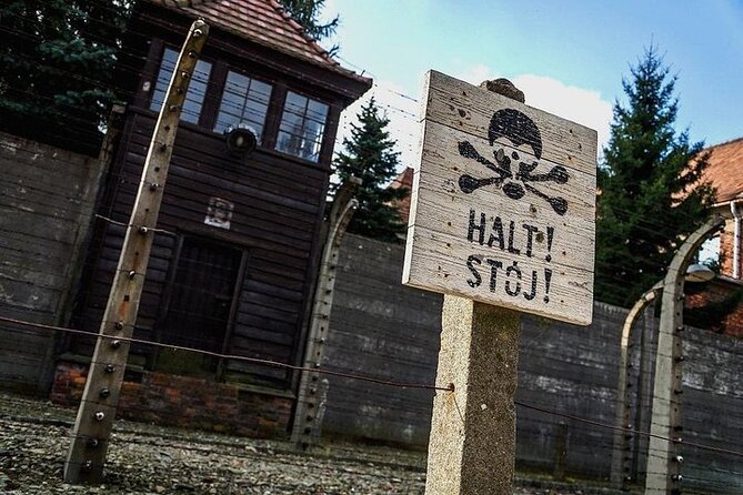Krakow: Auschwitz-Birkenau Guided Tour & Hotel Pick Up - Birkenau and the scale of the camp system