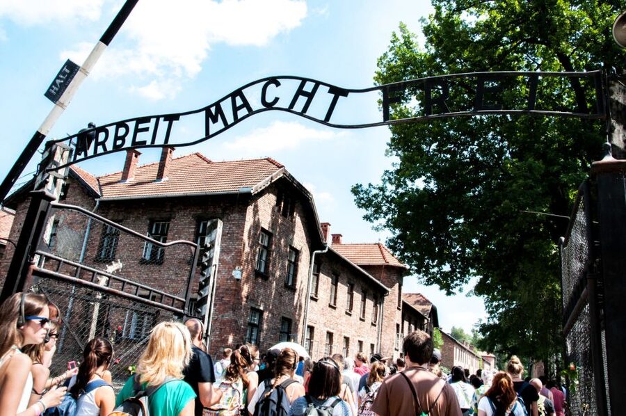 Krakow: Auschwitz-Birkenau Guided Tour Pickup/Lunch Options - Seeing the Scale of Birkenau
