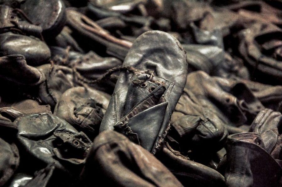 Krakow: Auschwitz-Birkenau Guided Tour Pickup/Lunch Options - Who Should Book This Auschwitz Tour