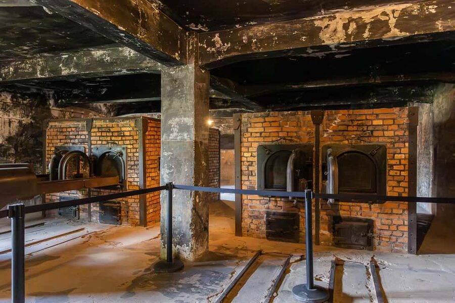 Krakow: Auschwitz-Birkenau Guided Tour with Transportation - Walking, weather, and what to pack