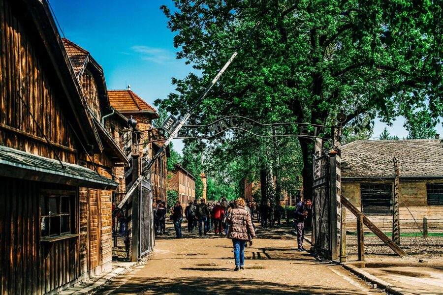 Krakow: Auschwitz-Birkenau Live Guided Tour & Hotel Pickup - Who should book this Krakow day trip?