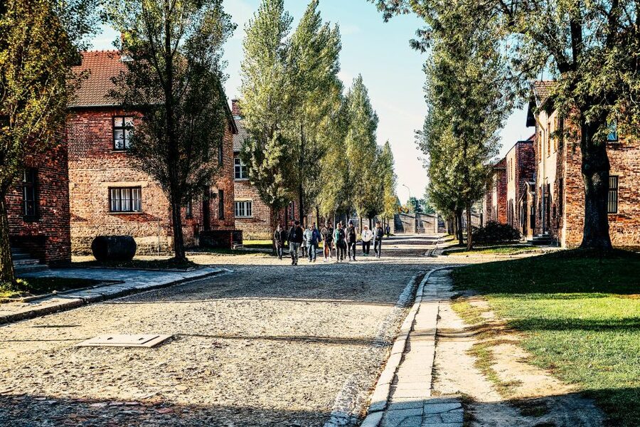Krakow: Auschwitz-Birkenau Live Guided Tour & Hotel Pickup - Price, transport, and what the $22 covers