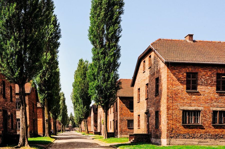 Krakow: Auschwitz-Birkenau Live Guided Tour & Hotel Pickup - Names, documents, bags, and museum rules