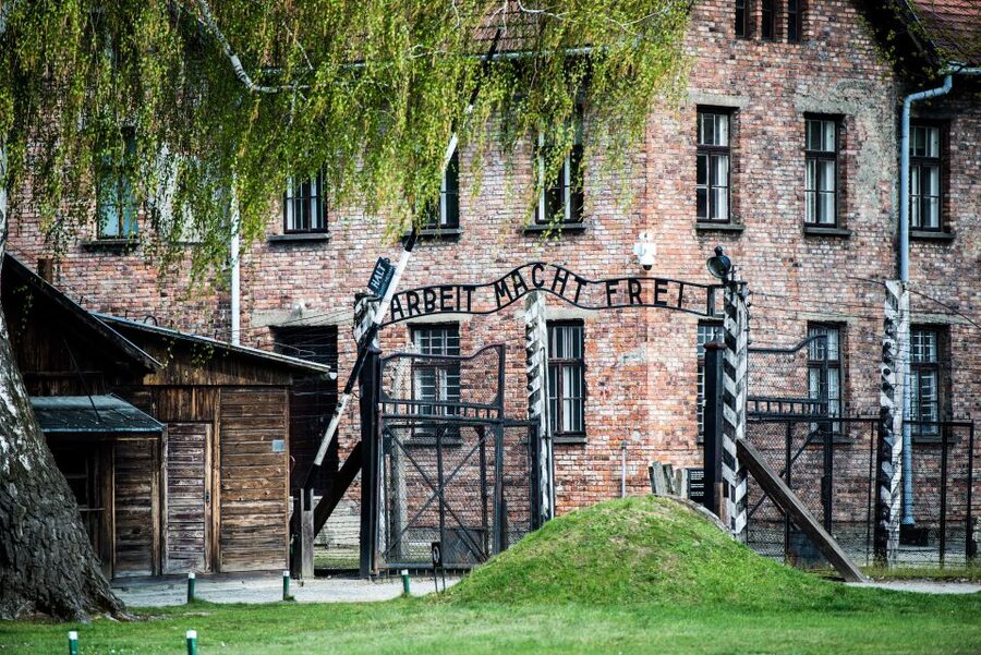 Krakow: Auschwitz Birkenau Museum Guided Tour with Pickup - Who should choose this tour?