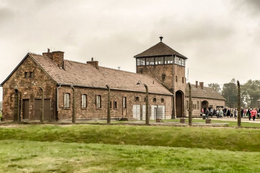 Krakow: Auschwitz Birkenau Museum Guided Tour with Pickup - What the guide adds to the visit
