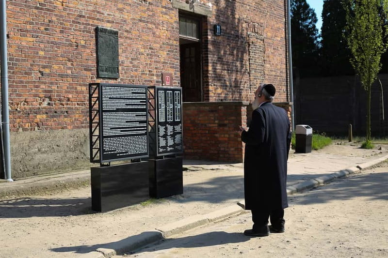 Krakow: Auschwitz-Birkenau Private Guided Tour - Key points at a glance