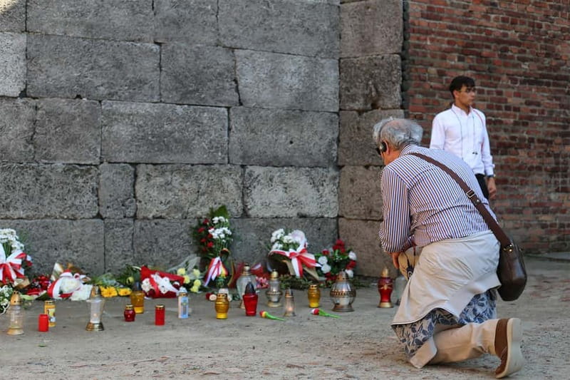Krakow: Auschwitz-Birkenau Private Guided Tour - Self-guided freedom versus a live guide