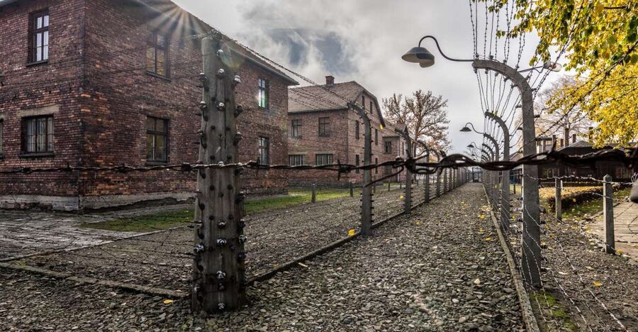 Kraków: Auschwitz-Birkenau & Salt Mine Full-Day Guided Tour - What you get for $27
