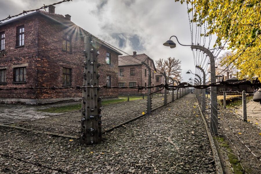 Kraków: Auschwitz-Birkenau & Salt Mine Full-Day Guided Tour - Practical preparation for a better day