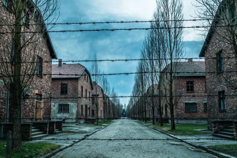 Kraków: Auschwitz-Birkenau & Salt Mine Full-Day Guided Tour - Who should book this day