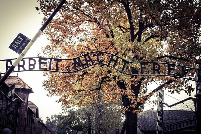 Krakow: Auschwitz-Birkenau Shared English Tour and Transfer - Transport from Krakow is useful, but not luxurious