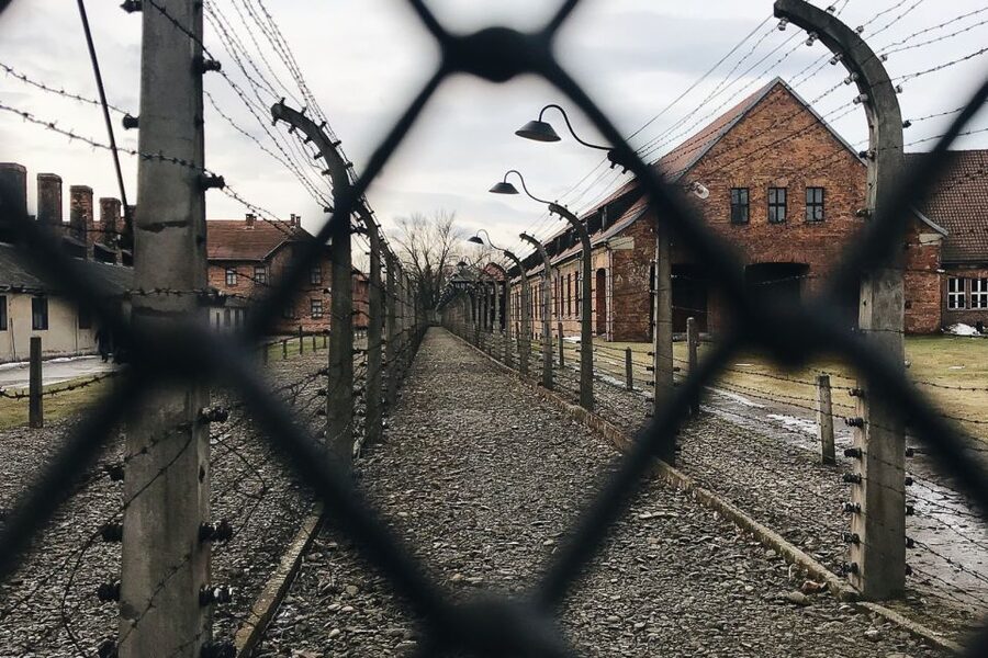 Krakow: Auschwitz-Birkenau Tour Limited to 15 Visitors - What $89 buys you