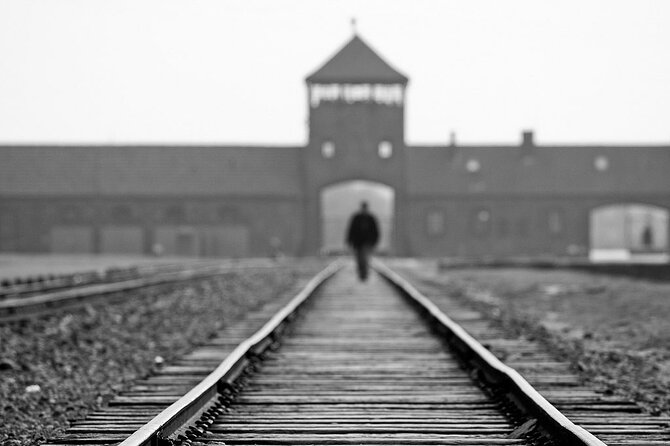 Krakow: Auschwitz-Birkenau Tour & Museum Expert Guide - Why this visit matters