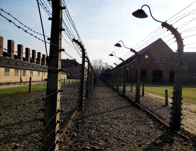 Krakow: Auschwitz-Birkenau & Wieliczka Salt Mine with Lunch - Key points to know before booking