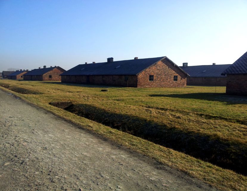 Krakow: Auschwitz-Birkenau & Wieliczka Salt Mine with Lunch - Transport, guides, and the value of $251