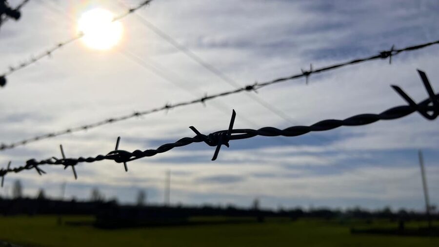 Krakow: Auschwitz-Birkenau & Wieliczka Salt Mine with Lunch - Who should book this day?