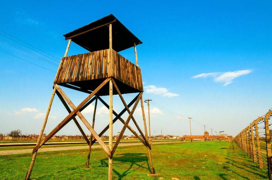 Krakow: Auschwitz Guided Tour with Optional Hotel Pickup - Practical Details That Matter on the Day
